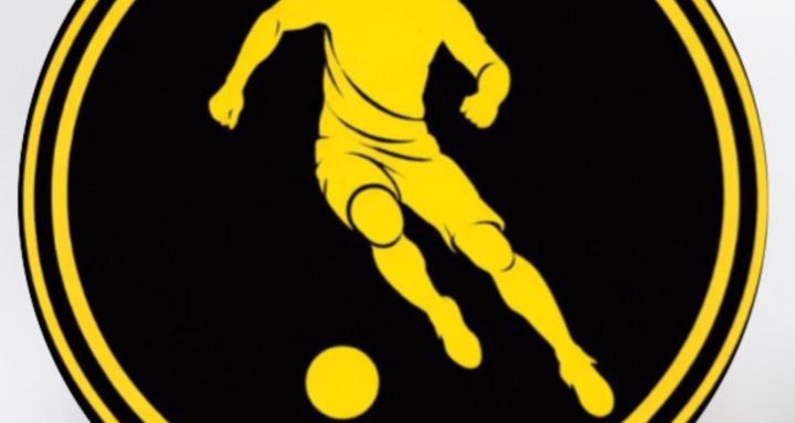 PRO ELITE FOOTBALL ACADEMY