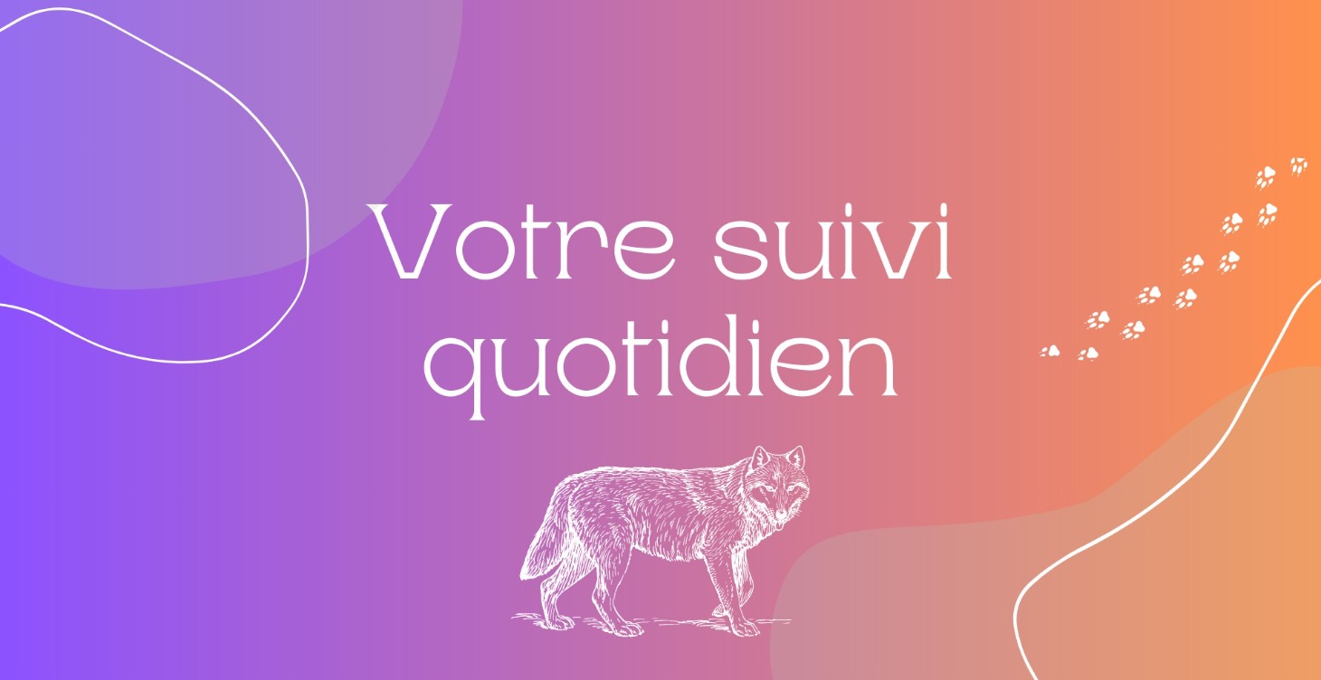 Suivi quotidien 🎯 - BONUS