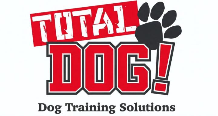 Dog Training That Works!