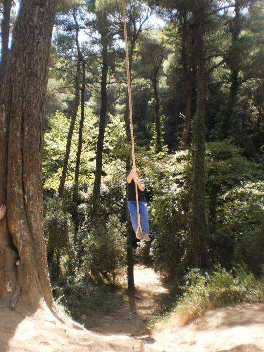 Dimitris Kokoutsidis