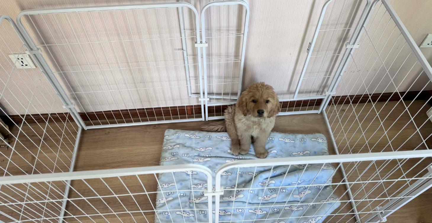 Хэрэглээний коммандуудыг заах арга