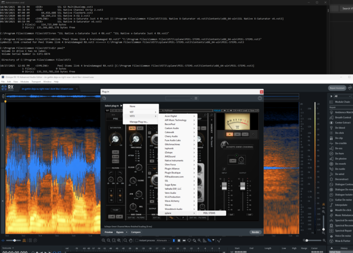 Anyone use RX, but it can't find your plugins?
