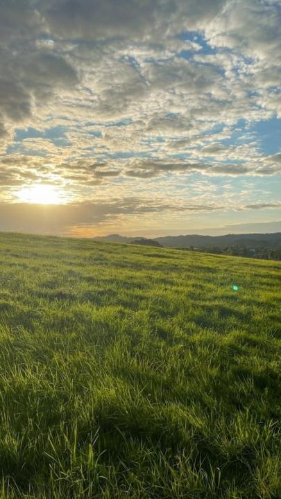 Day 14