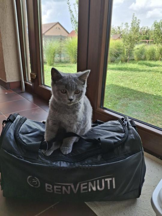 Ioan Cristian Flavius Pop