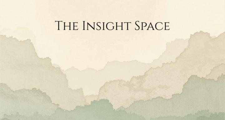 The Insight Space
