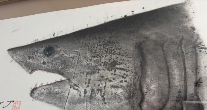 Marine Industry Ecom Brand