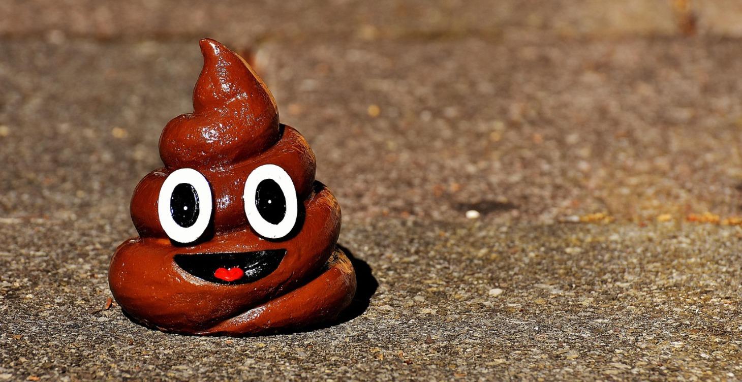 Housebreaking your Puppy