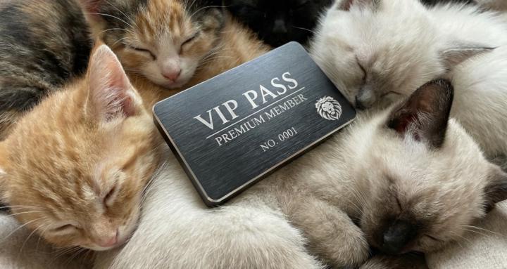 Official Pass