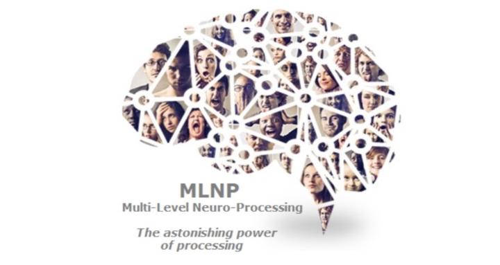 Multi-Level Neuro-Processing