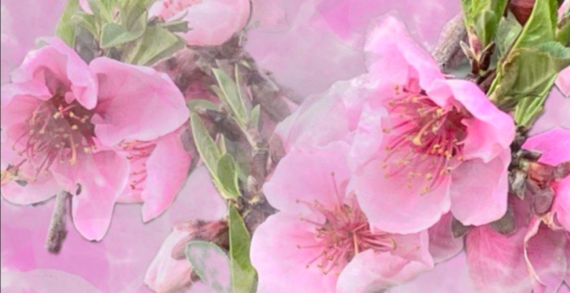 Welcome at Whispers of the Soul, how does it work?