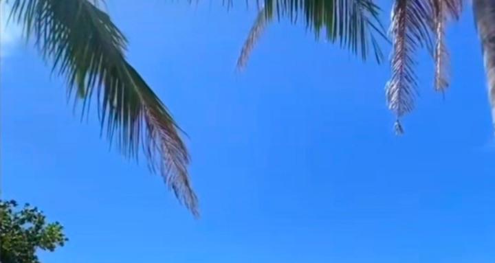 Effortless Empire Team