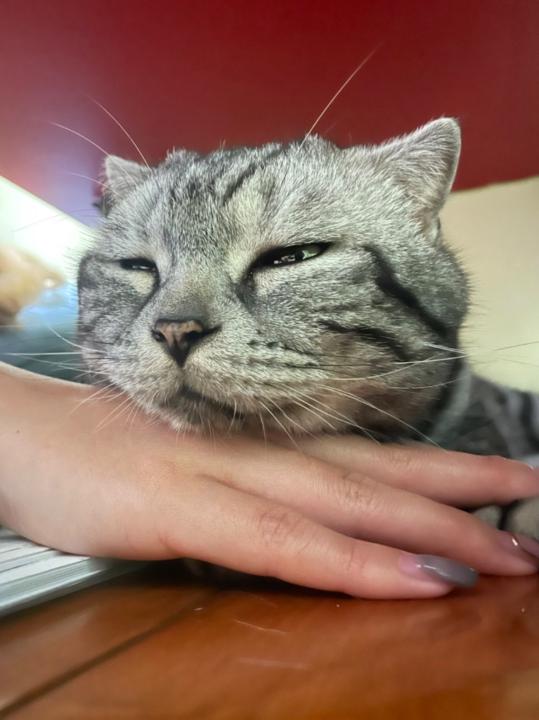 王 姿閔