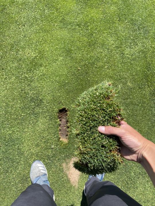 ABSOLUTELY MASSIVE