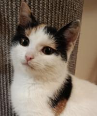 Małgorzata Wawruszak