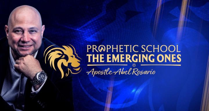 SCHOOL THE EMERGING ONES