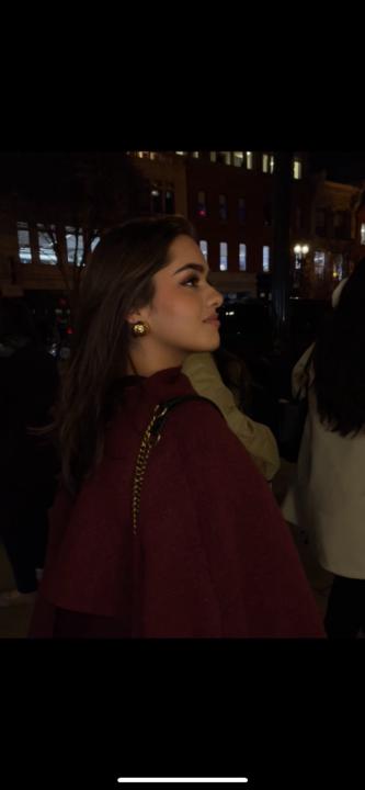 Negin Akbari