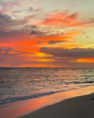 ياسمين عبدالله