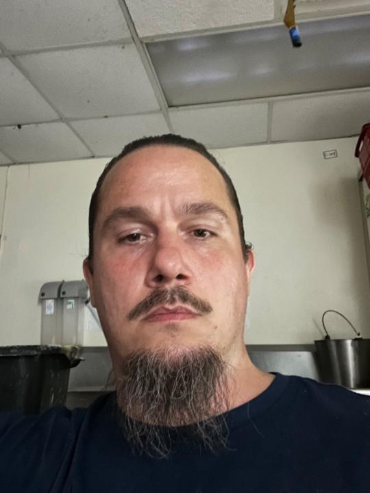 Brant Herring