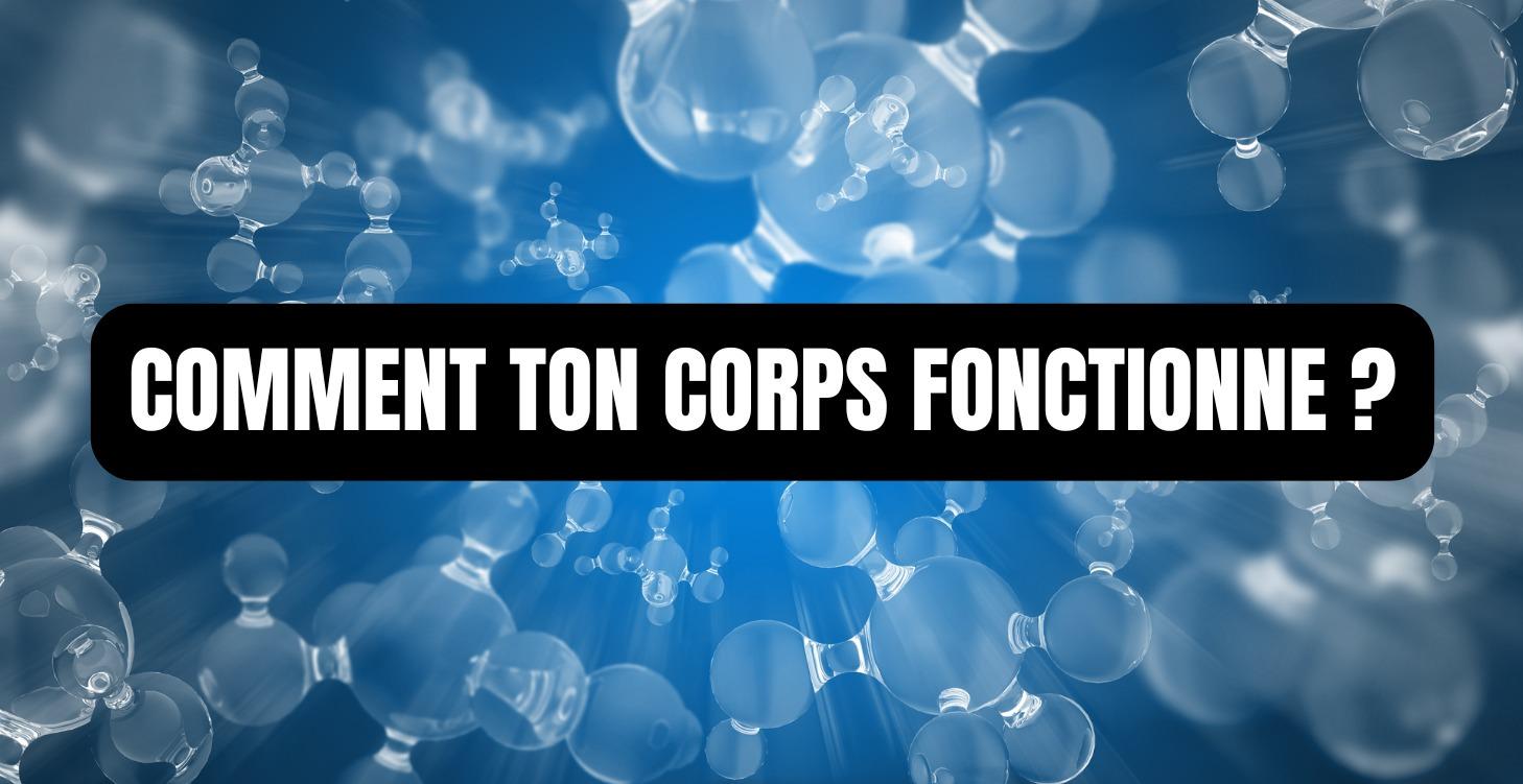 COMPRENDRE SON CORPS