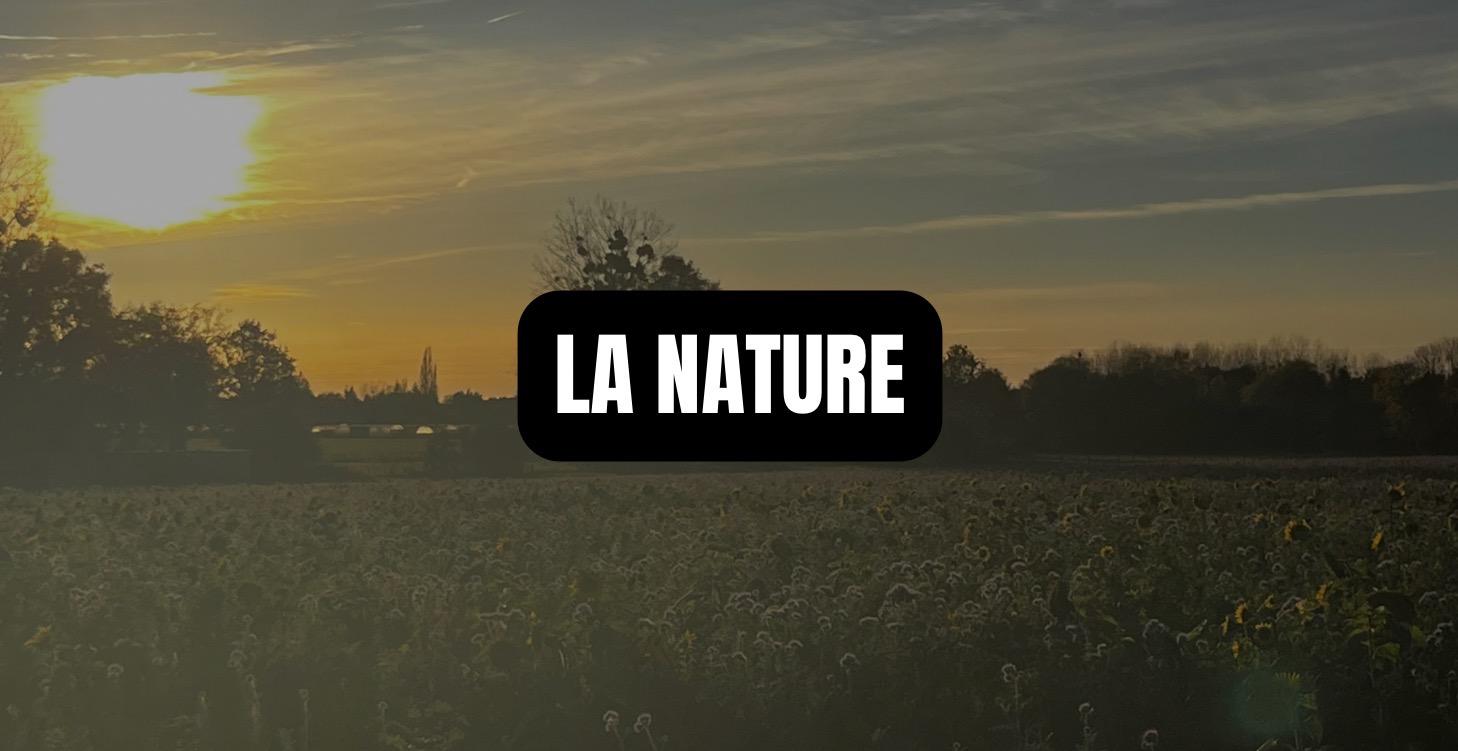 LES 5 PILIERS : LA NATURE