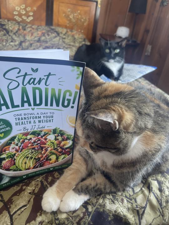 My new salad paperback is a big hit with cats! Lol