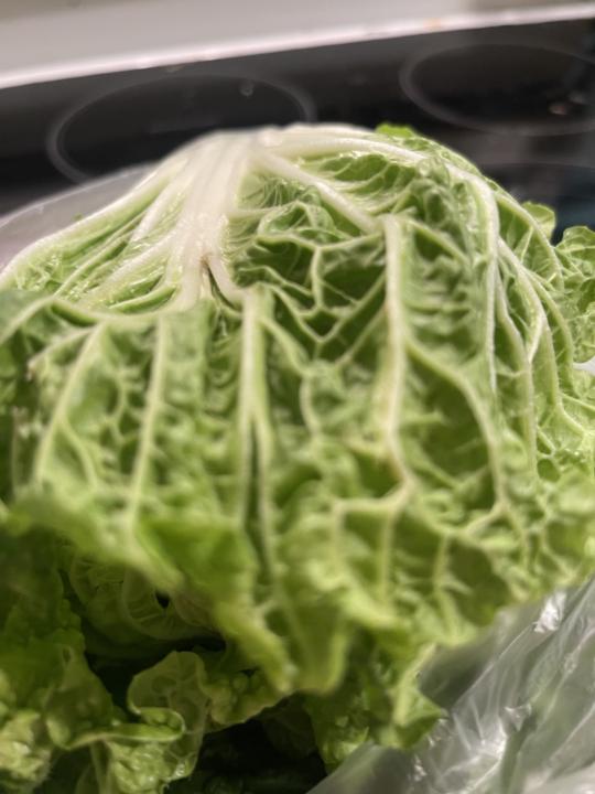Chinese or Nappa Cabbage 
