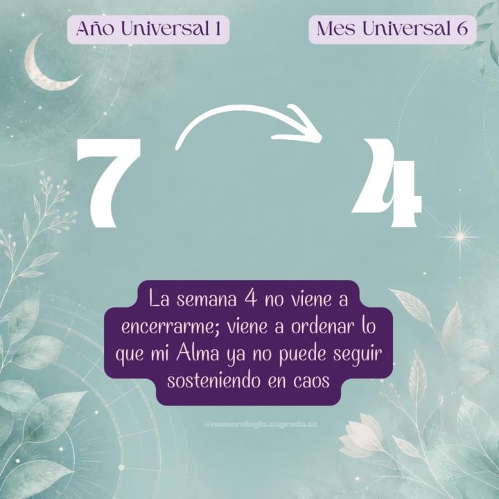 ✨ Cambio de energía semanal: entramos a Semana 4 ✨