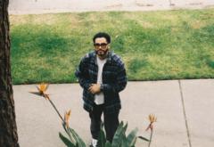 Donovan Patterson