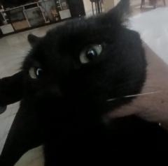 Leonardo Franco Morales