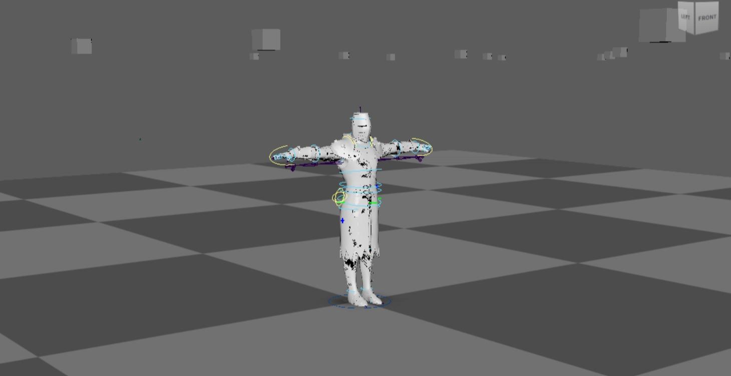 Motion Capture