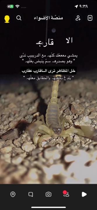 علي المري