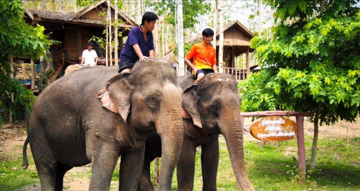 Thai Language Learning