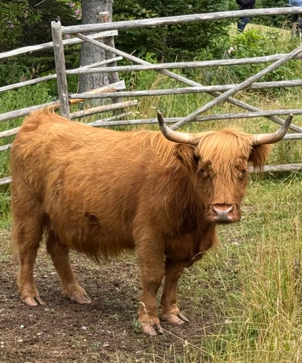 Summer Vacation Photos