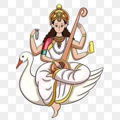 M.D Divya Sree