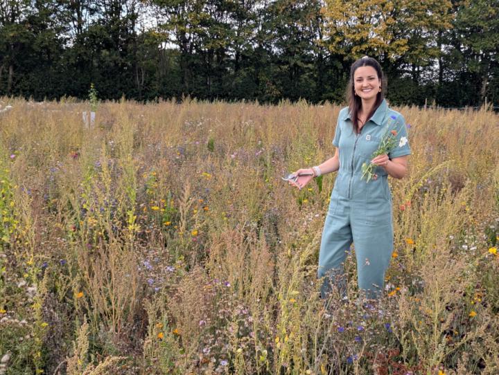 Heidi Sigsworth-Allen