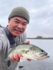 Rick Moy