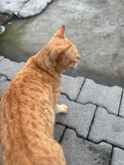 何 書育