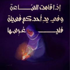 رضوى غريب