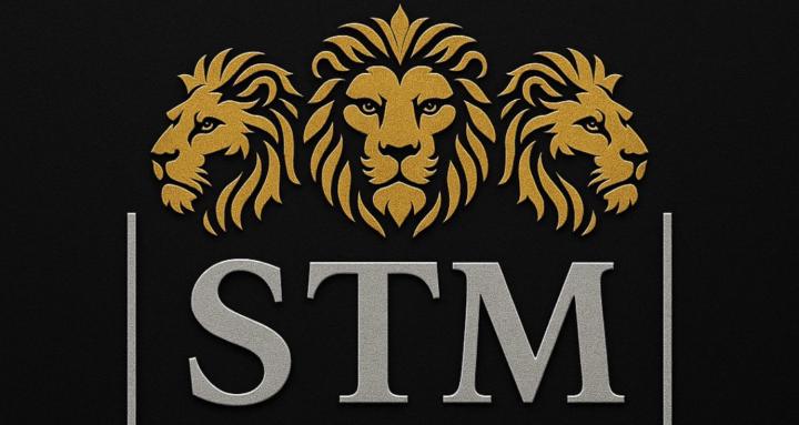 STM Academy 