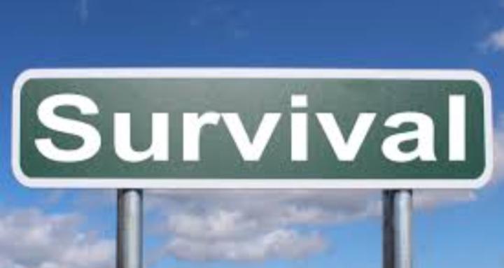 Survive it