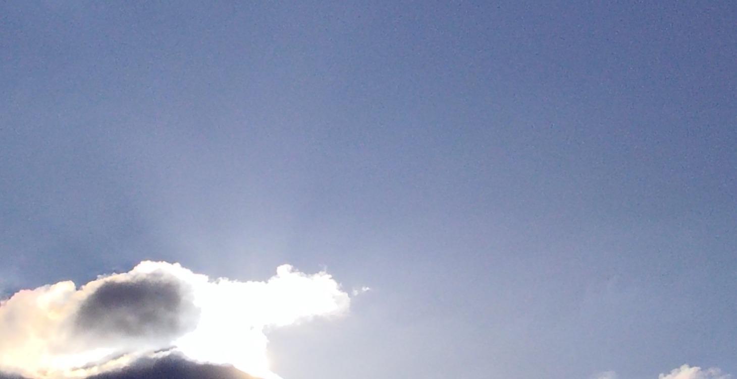 SHE PHOENIX: LEARN ENGLISH WITH MJ