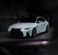 Starling Ceballo Ortiz