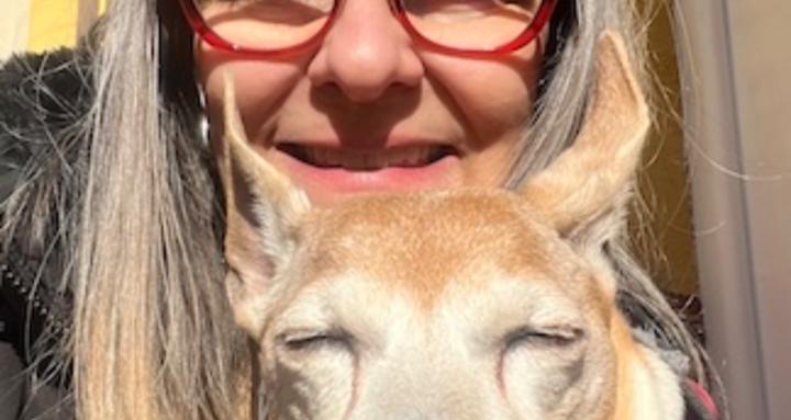 Salud y Vínculo con tu mascota