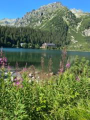 Karolina Kutarňová