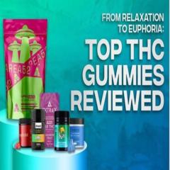 Why and How You Should Take CBD Gummies for Sleep