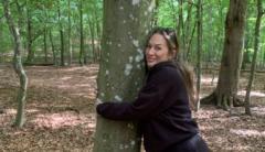 Signita Casio Sandelin