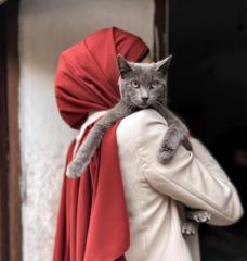 Jordina Sans Alcobé