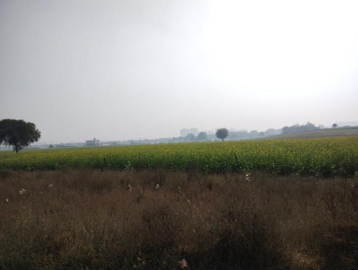 Lalit Kumar