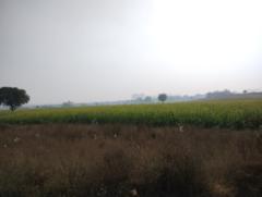 Lalit Kumar