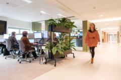 Marieanne van Tilburg